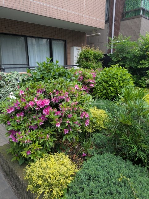 18/30 その他画像