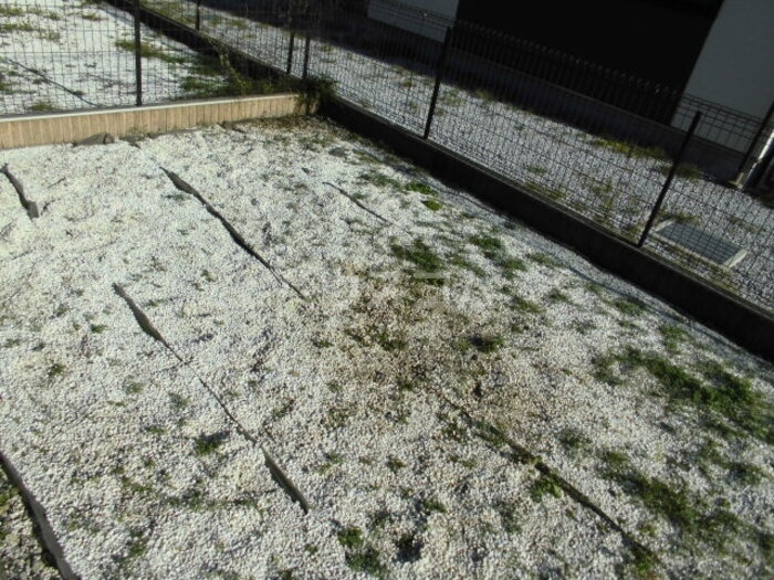 17/24 その他画像