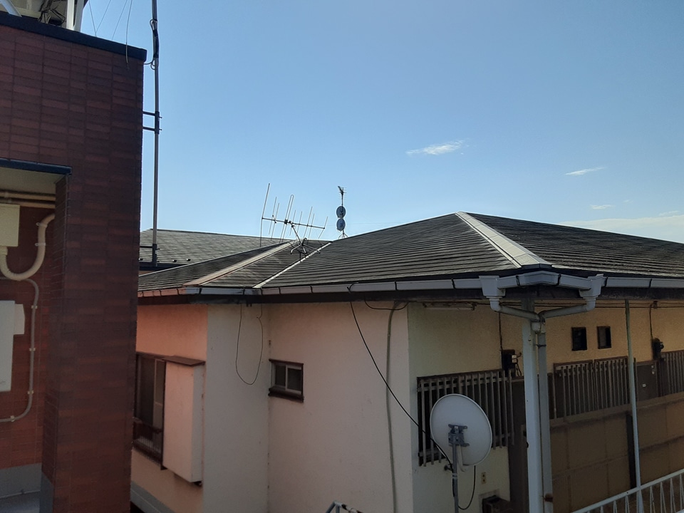 19/29 その他画像