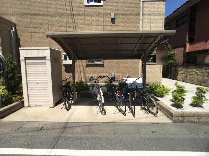 5/17 その他画像