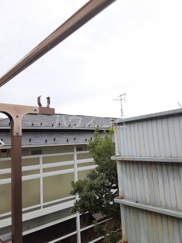 19/29 その他画像