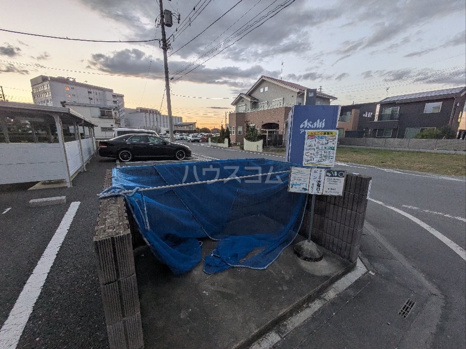 20/30 その他画像