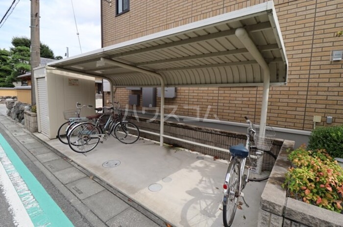 5/17 その他画像