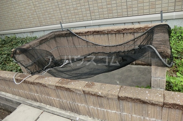 12/21 その他画像