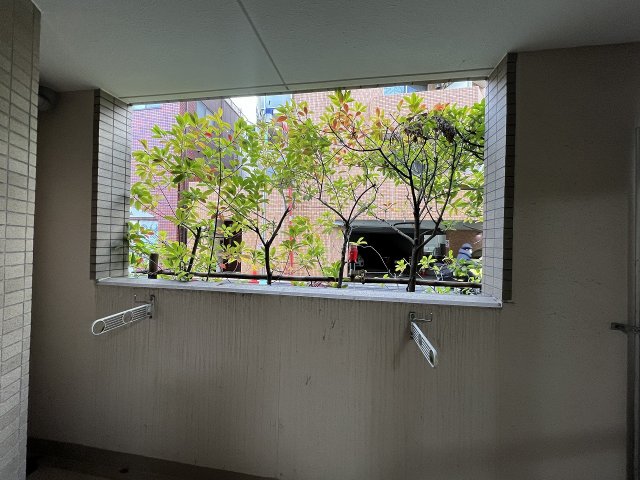 16/29 その他画像