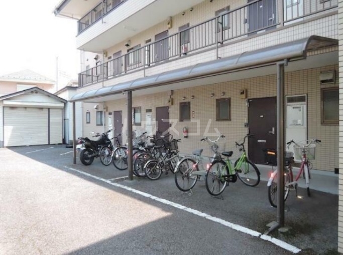 20/30 その他画像