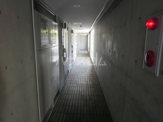 15/29 その他画像