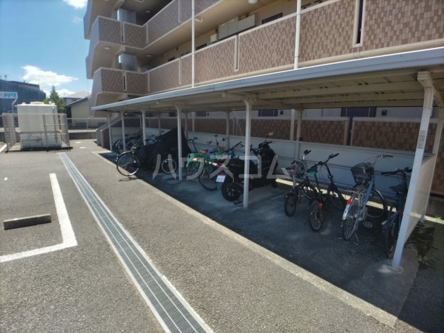 20/30 その他画像