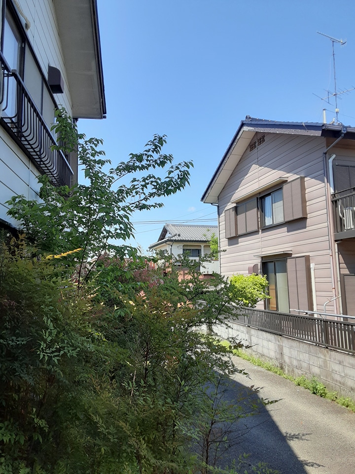 12/24 その他画像