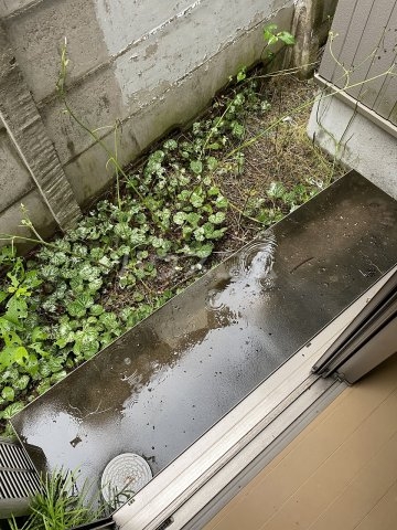 14/29 バルコニー