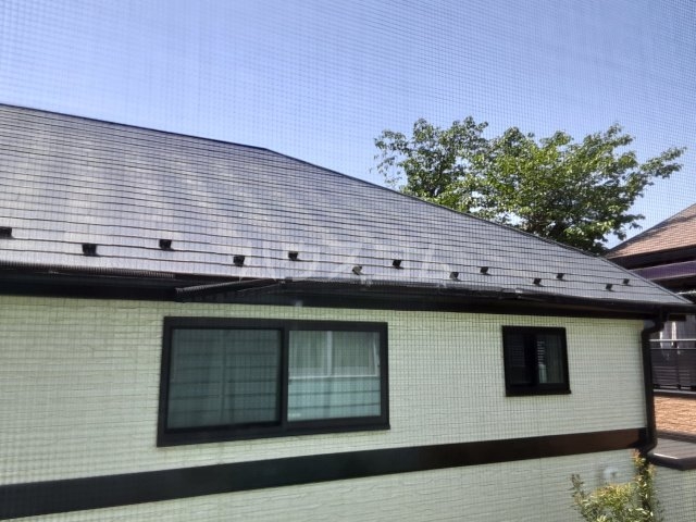 14/20 その他画像