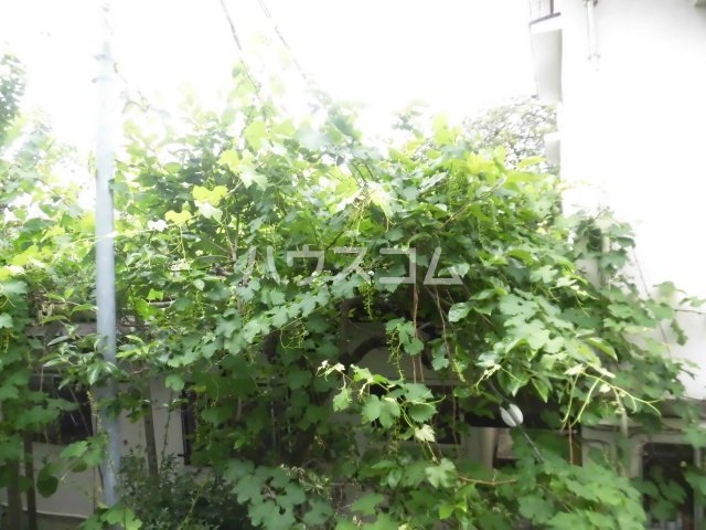 21/24 その他画像