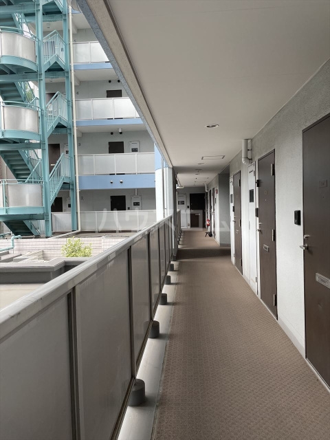 15/30 その他画像