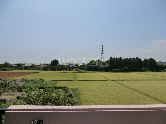 14/16 その他画像