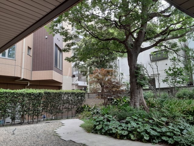 12/20 その他画像