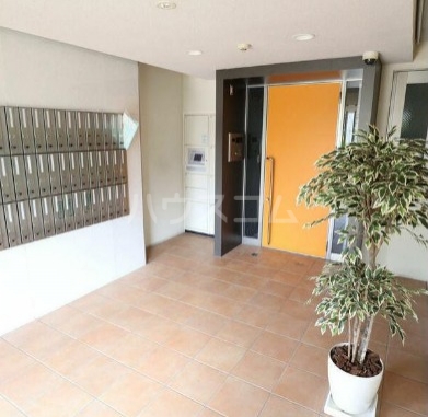 11/20 その他画像