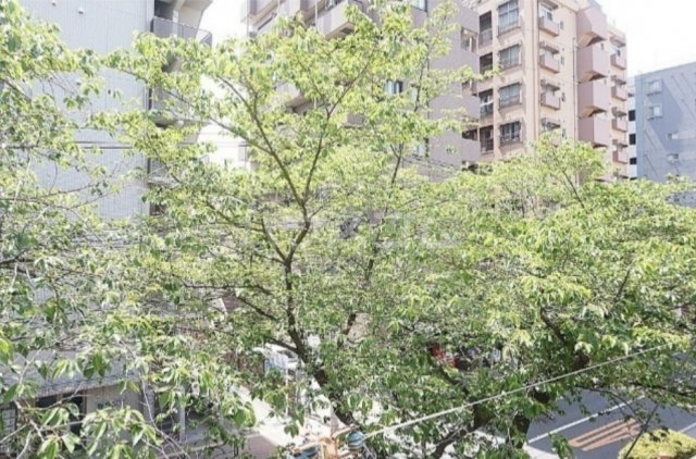 16/28 その他画像