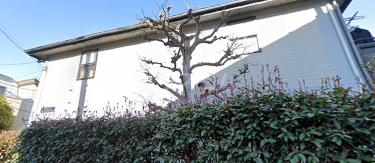 15/24 その他画像