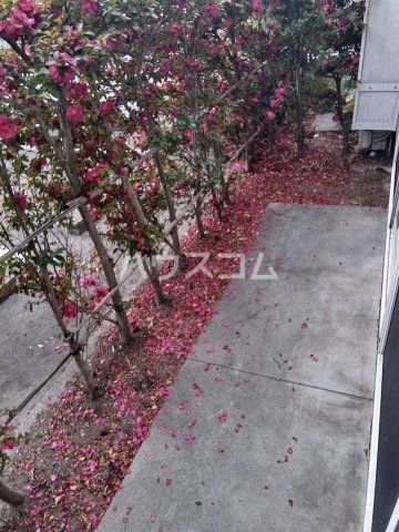 16/30 その他画像