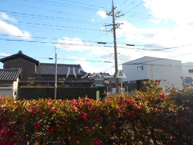 20/30 その他画像