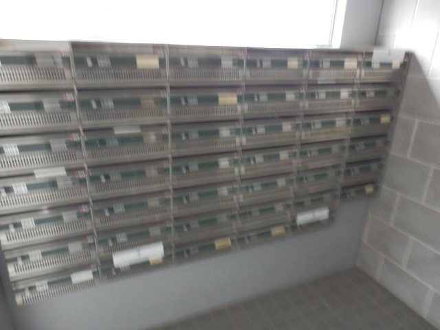 17/29 その他画像