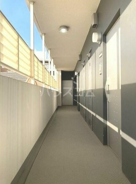 8/17 その他画像