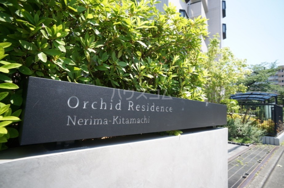 8/13 その他画像