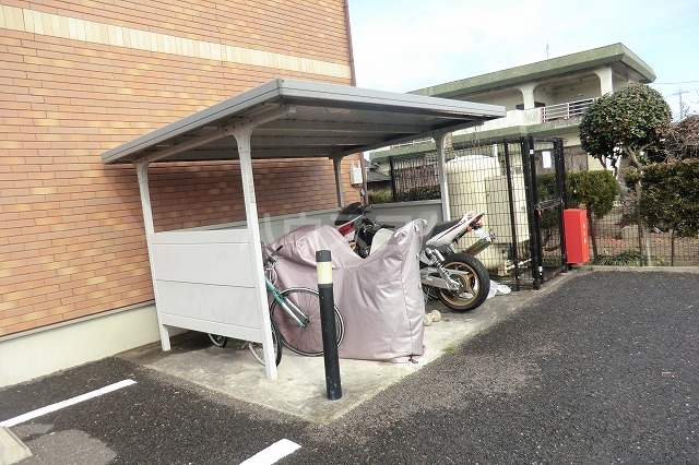 20/30 その他画像