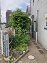 2/6 エントランス