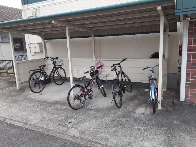 20/30 その他画像