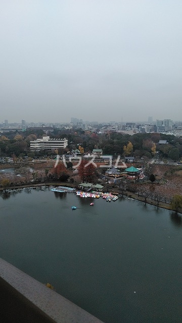 19/29 その他画像