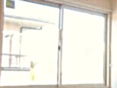 8/16 その他画像