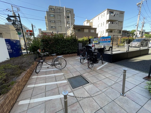 20/30 その他画像