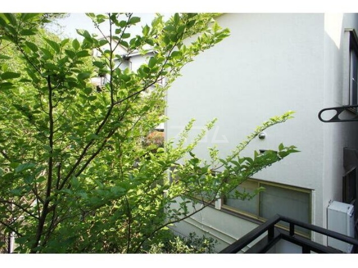 12/19 その他画像