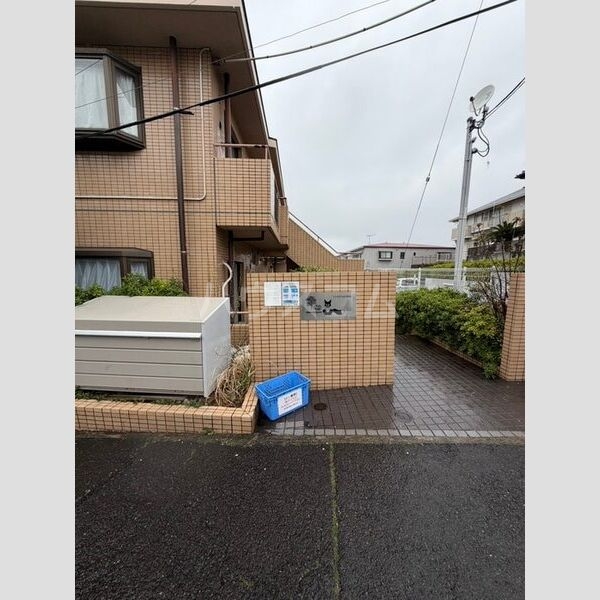 15/17 その他画像