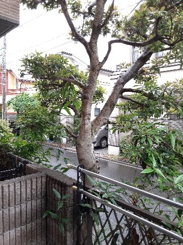 17/28 その他画像