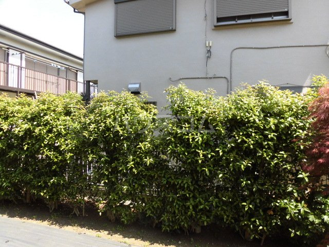 20/30 その他画像