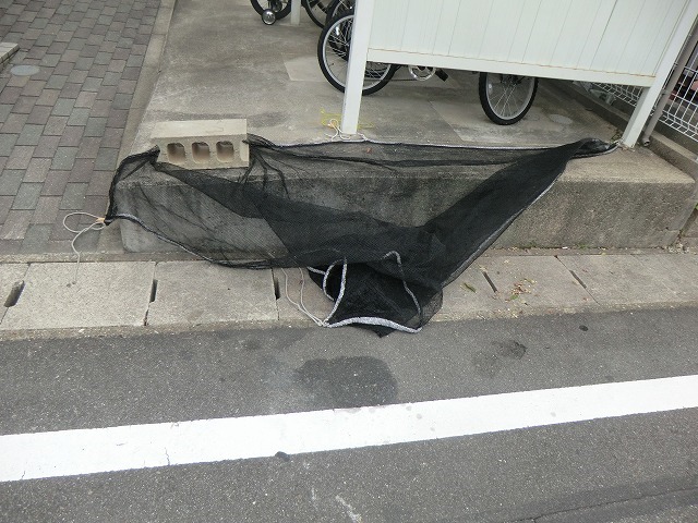 16/20 その他画像