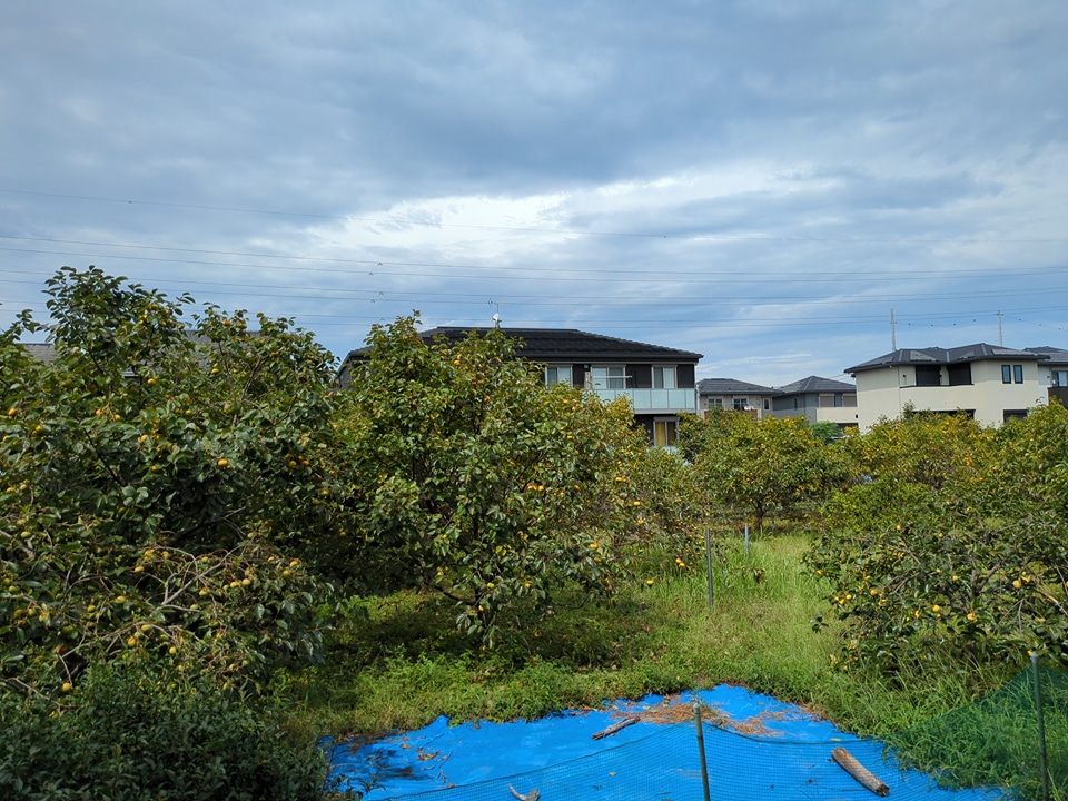 24/30 その他画像