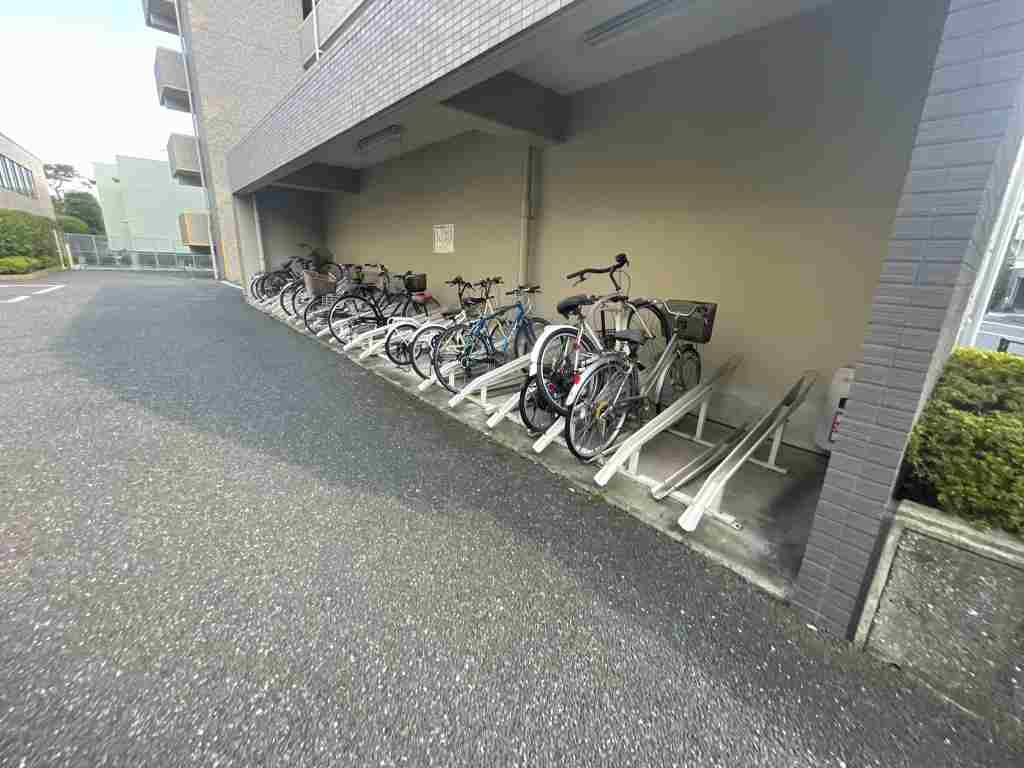 20/30 その他画像