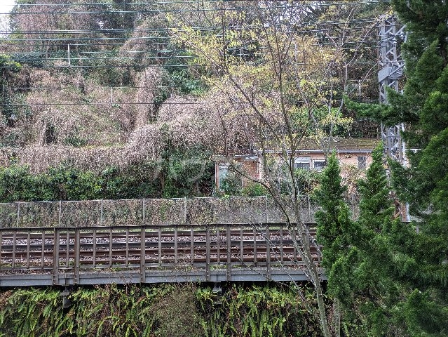 16/24 その他画像