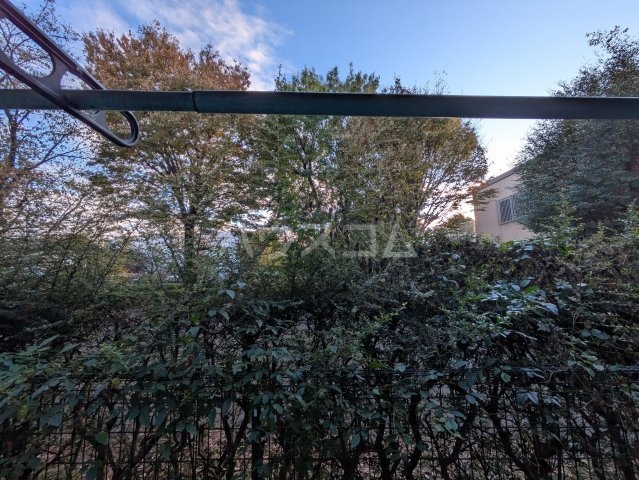 15/28 その他画像