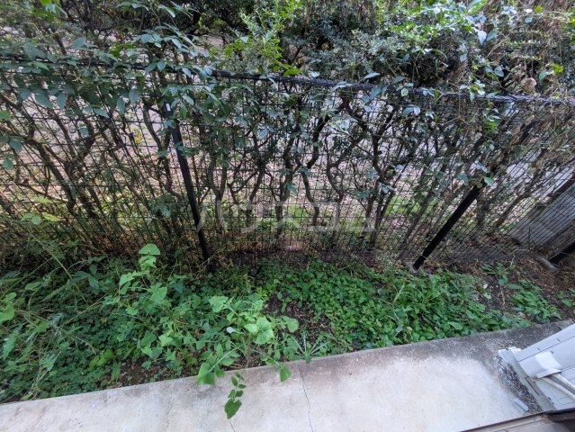 16/28 その他画像