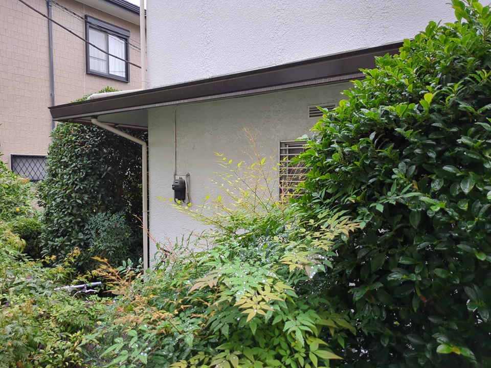 21/29 その他画像