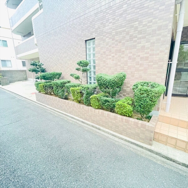 8/19 その他画像