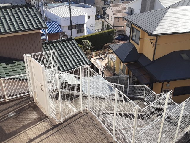 23/25 その他画像