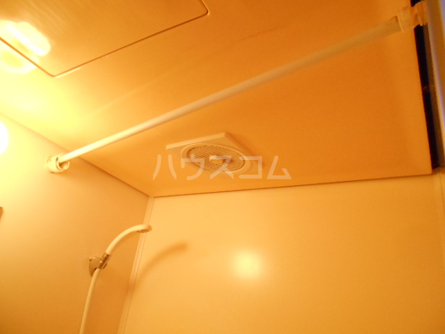 21/25 その他画像