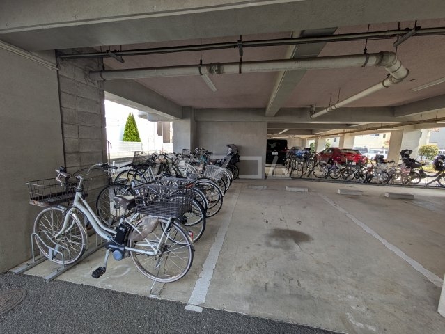 20/30 その他画像