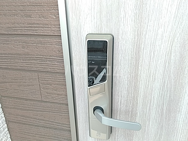 15/30 その他画像