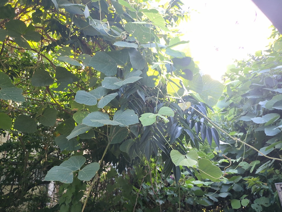 16/28 その他画像